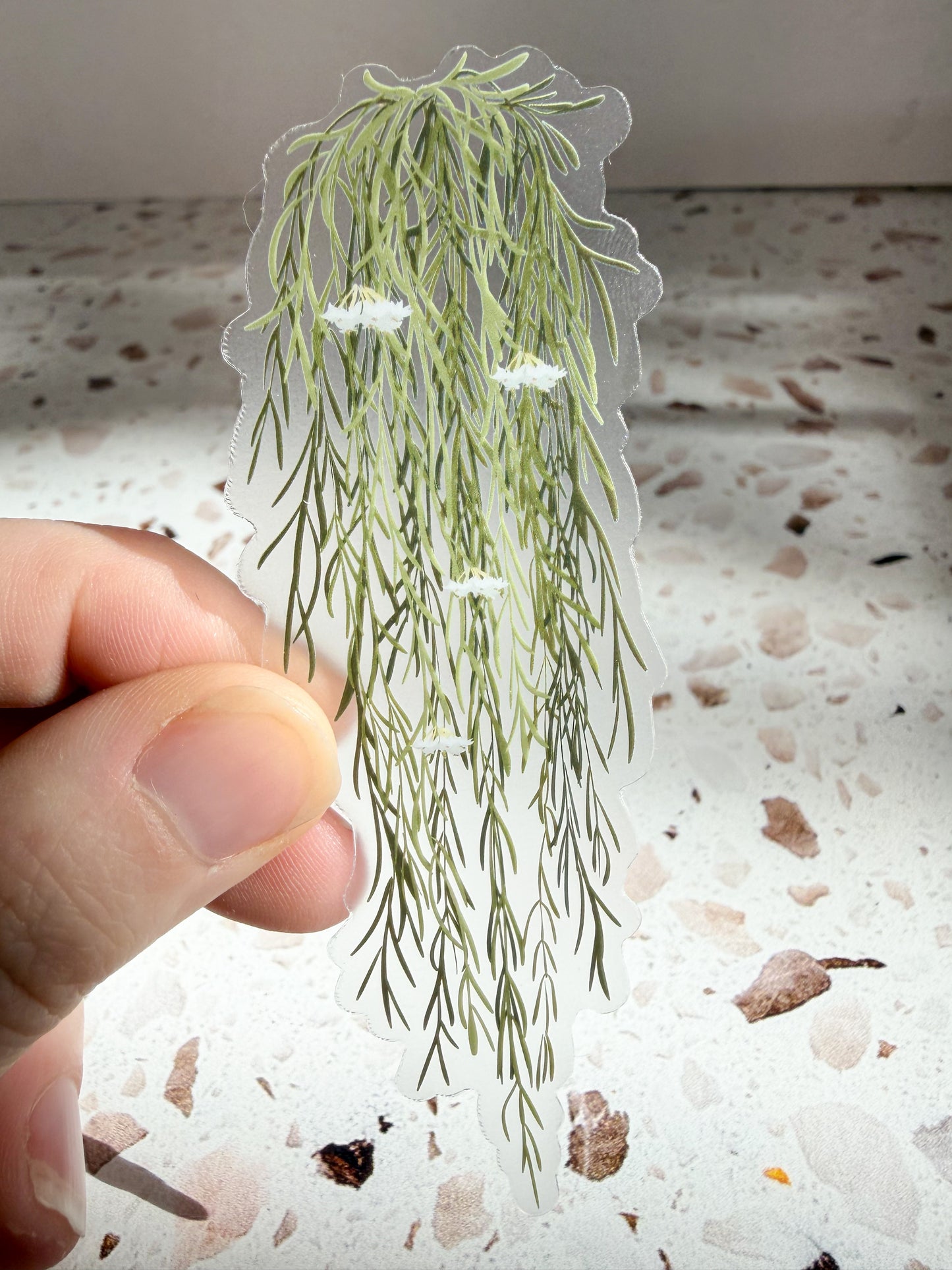 plant stickers