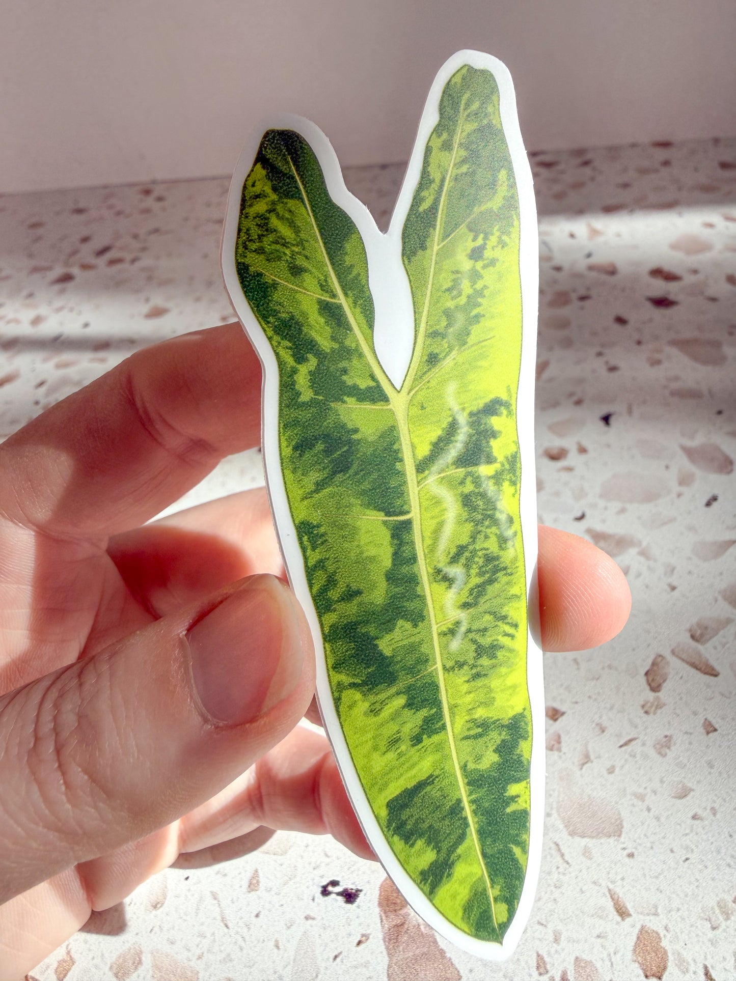 plant stickers