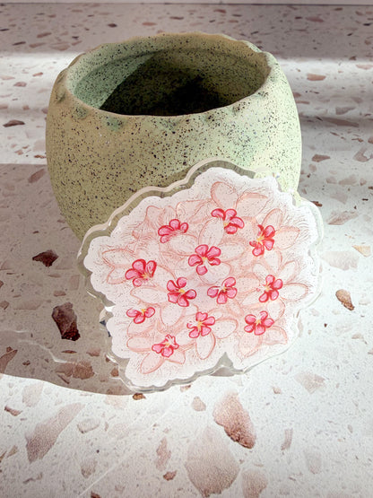 plant magnets