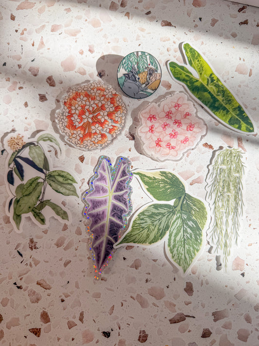 ultimate enamel bundle