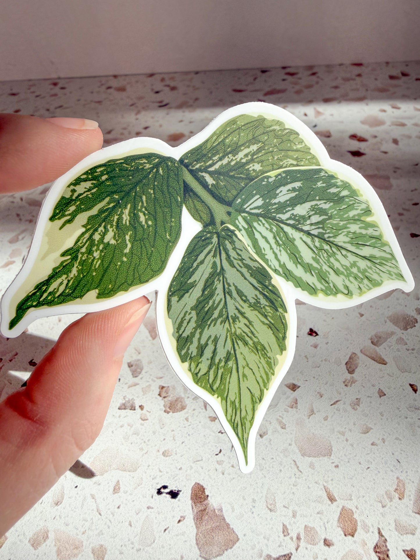 plant stickers
