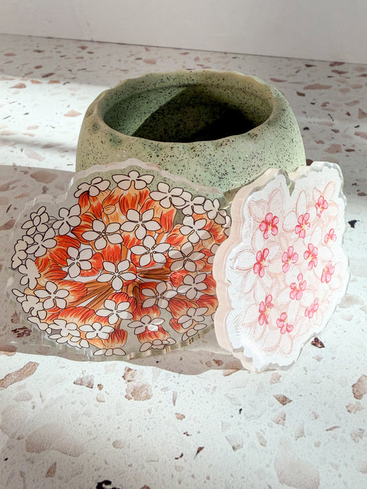 plant magnets
