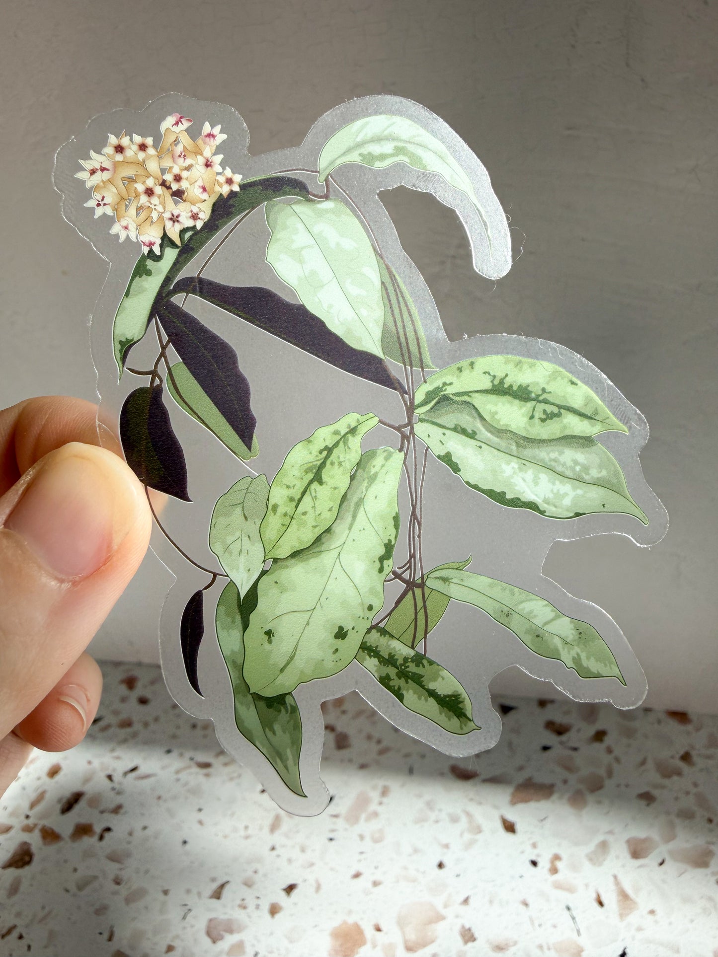 plant stickers