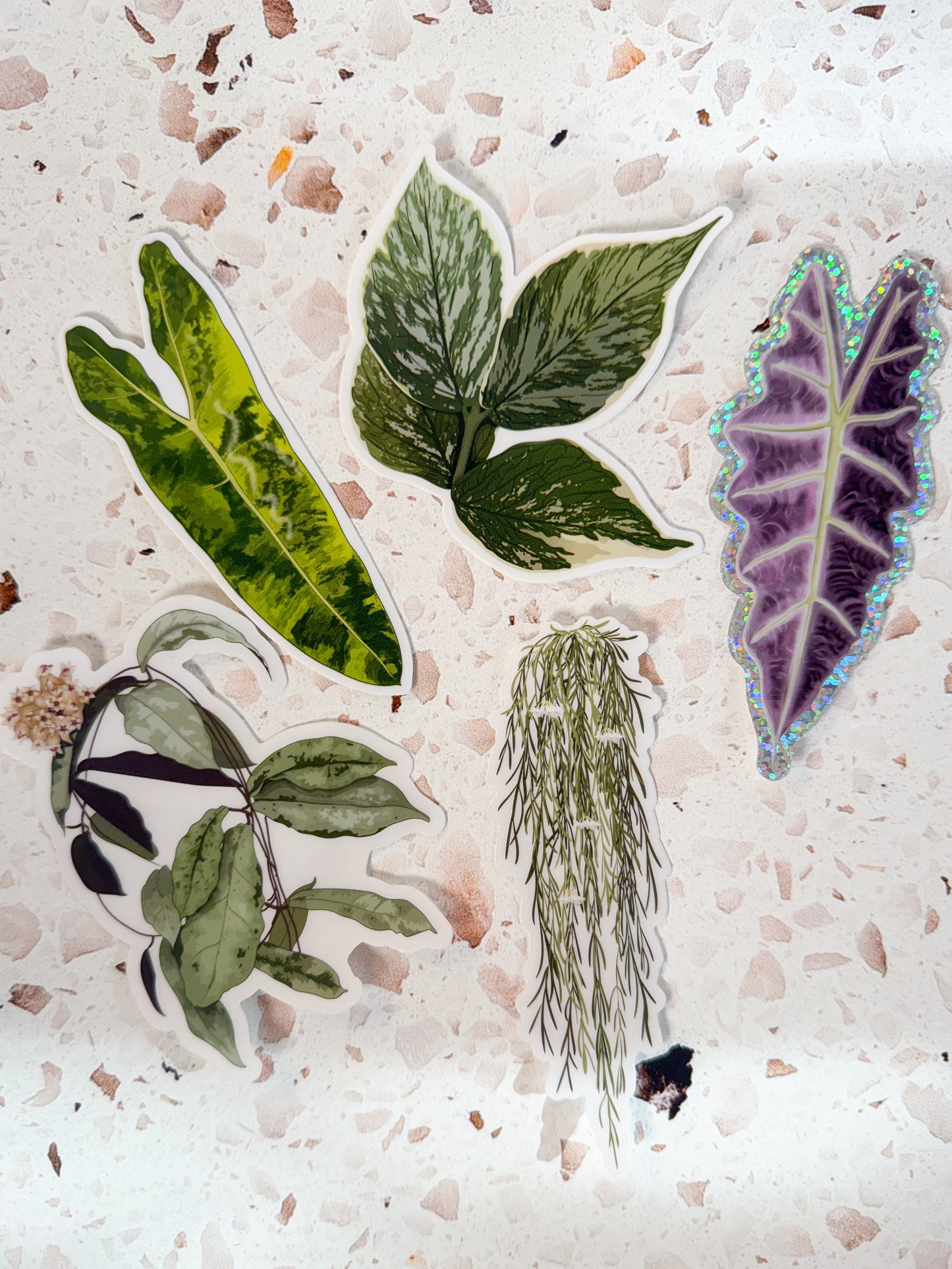 plant stickers